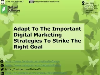 Adapt To The Important Digital Marketing Strategies To Strike The Right Goal