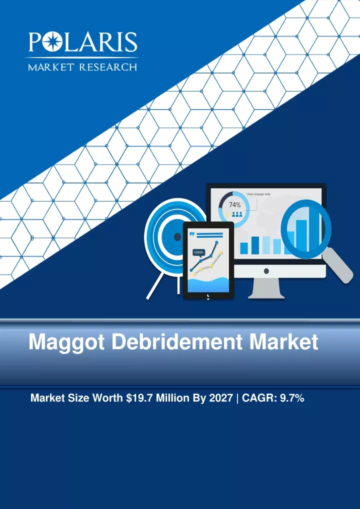 maggot debridement market
