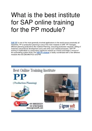 What is the best institute for SAP online training for the PP module