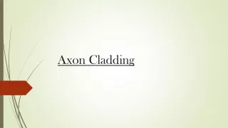 axon cladding
