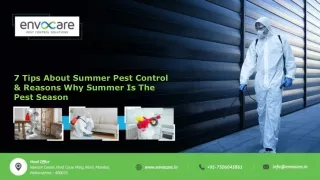 7 Tips About Summer Pest Control & Reasons Why Summer Is The Pest Season