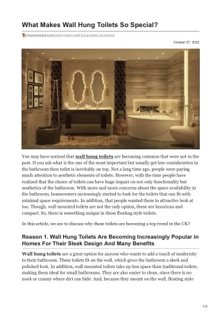 What Makes Wall Hung Toilets So Special