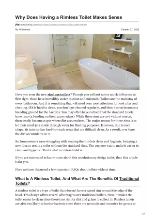 Why Does Having a Rimless Toilet Makes Sense