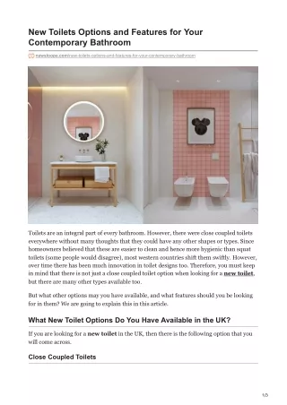 New Toilets Options and Features for Your Contemporary Bathroom