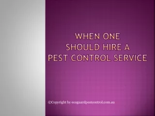When One Should Hire a Pest Control Service