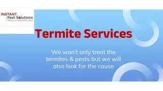 termite services