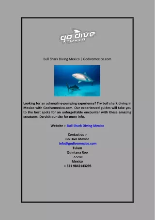 Bull Shark Diving Mexico Godivemexico.com