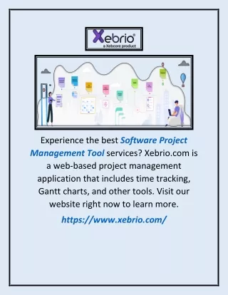 experience the best software project management