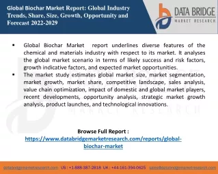 global biochar market report global industry