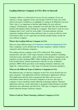 leading software company in usa how to succeed