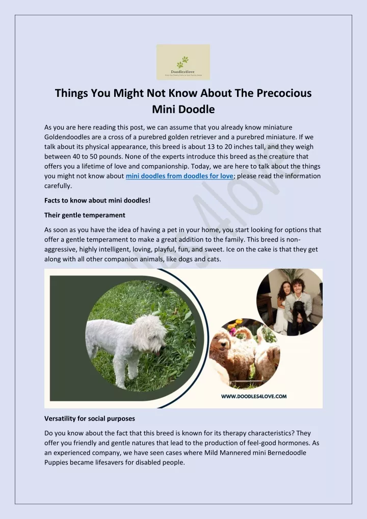 things you might not know about the precocious