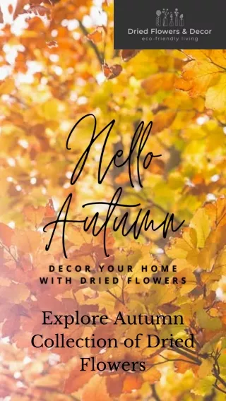 Enjoy Your Autumn with Dried Flowers