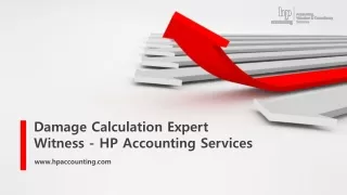 Damage Calculation Expert Witness - HP Accounting Services