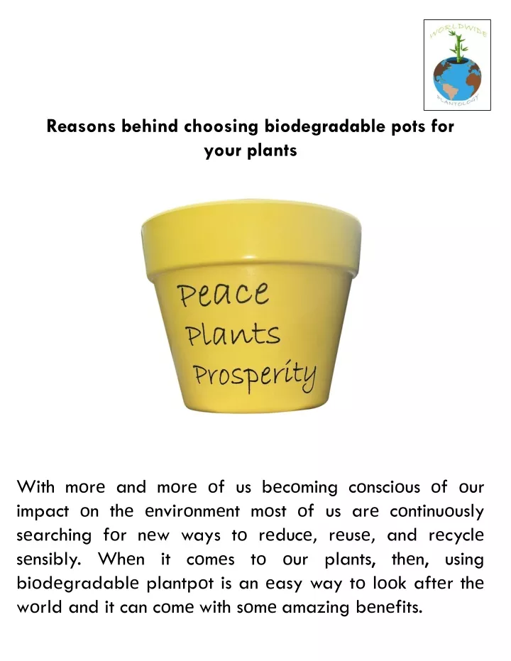 reasons behind choosing biodegradable pots