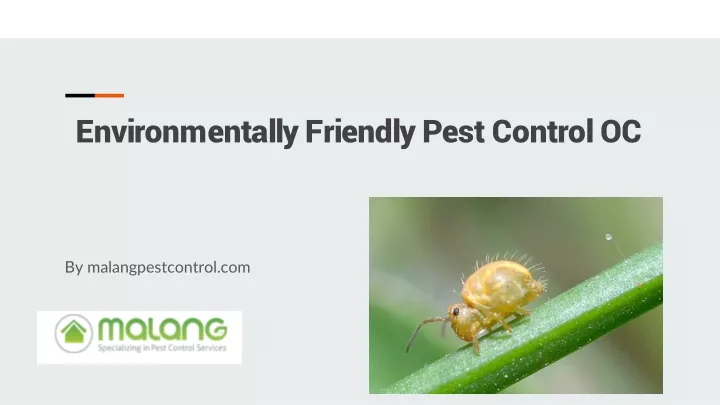 environmentally friendly pest control oc