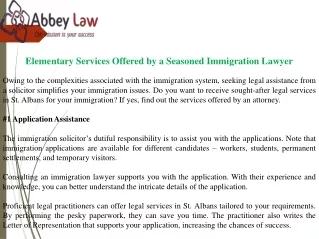 Elementary Services Offered by a Seasoned Immigration Lawyer