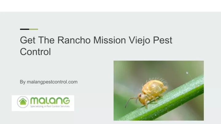 get the rancho mission viejo pest control
