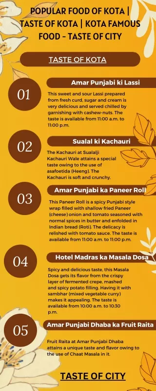 Popular food of kota | Taste of kota | kota famous food - Taste of city