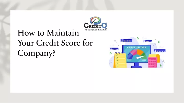 how to maintain your credit score for company