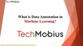 What is Data Annotation in Machine Learning?