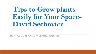 Tips to Grow plants Easily for Your Space- David Sechovicz