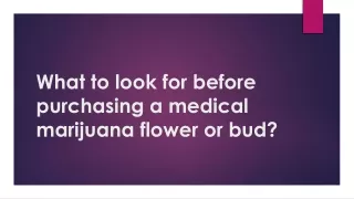 What to look for before purchasing a medical marijuana