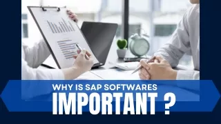 why is sap softwares important