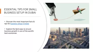 Essential Tips for Small Business Setup in Dubai​