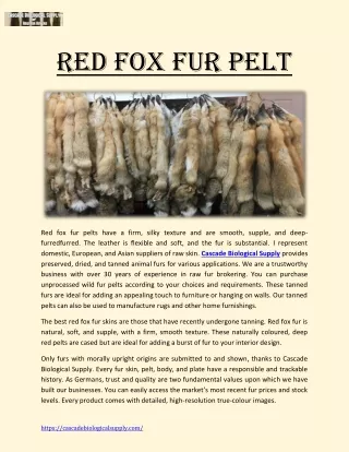 Red Fox Fur Pelt