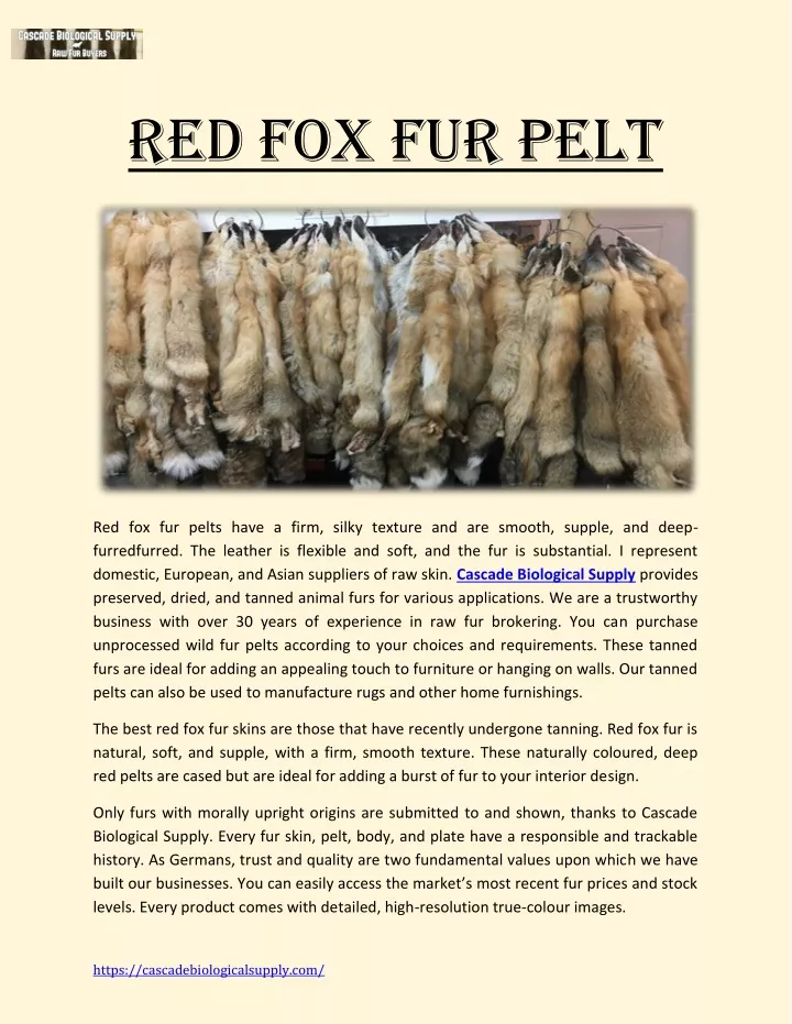 red fox fur pelt