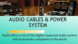 AudioQuest Dragon XLR Dealers