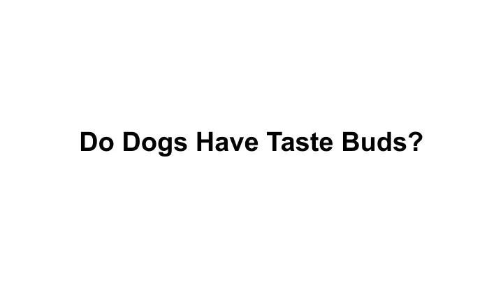 do dogs have taste buds