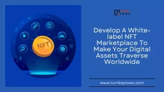 Develop A White-label NFT Marketplace To Make Your Digital Assets Traverse Worldwide