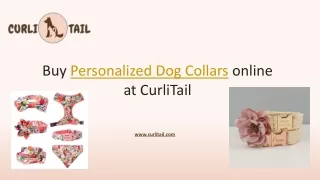 Personalized Dog Collars | CurliTail