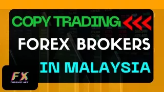 Copy Trading Forex Brokers In Malaysia