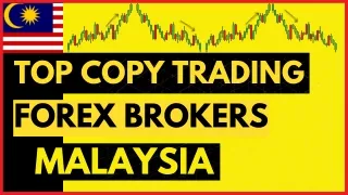 Top Copy Trading Forex Brokers In Malaysia - Live Forex Trading