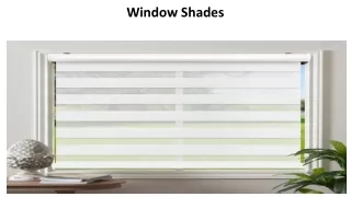 window shades