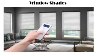 window shades