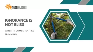 Ignorance is Not Bliss When It Comes to Tree Trimming - Tree Soldiers