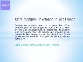 Offre d'emploi Développeur .net France  Développeur-informatique.com
