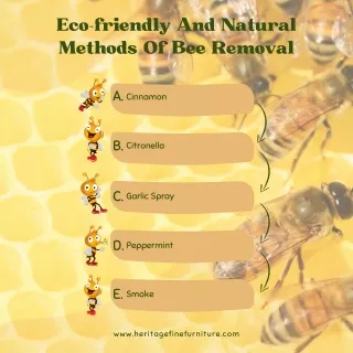 natural and eco friendly bee removal methods
