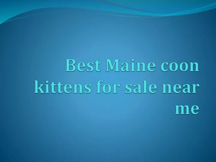 best maine coon kittens for sale near me