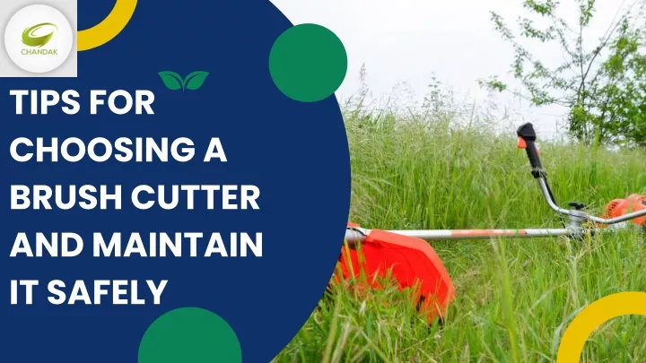 tips for choosing a brush cutter and maintain