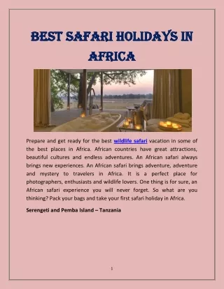 Best Safari Holidays in Africa