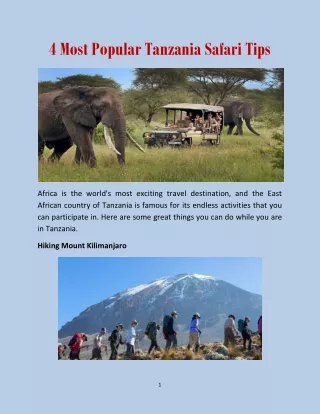 4 Most Popular Tanzania Safari Tips