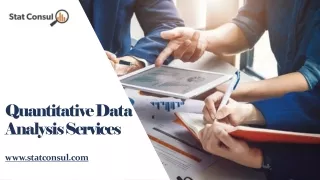 quantitative data analysis services
