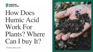 How Does Humic Acid Work For Plants Where Can I buy It?