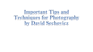 Important Tips and Techniques for Photography by David Sechovicz