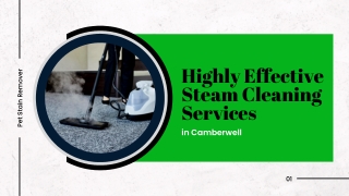 Highly Effective Steam Cleaning Services in Camberwell