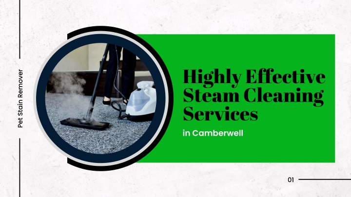 highly effective steam cleaning services